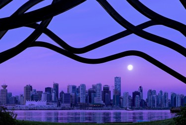 深圳龙岗区1借钱空放利息揭秘：揭秘真实利率，助您明智贷款