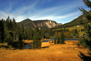 深圳龙岗区1民间私贷攻略：揭秘低成本借贷的秘密