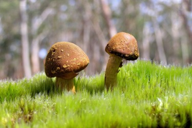 深圳龙岗区1私人老板放款：轻松融资的秘密通道